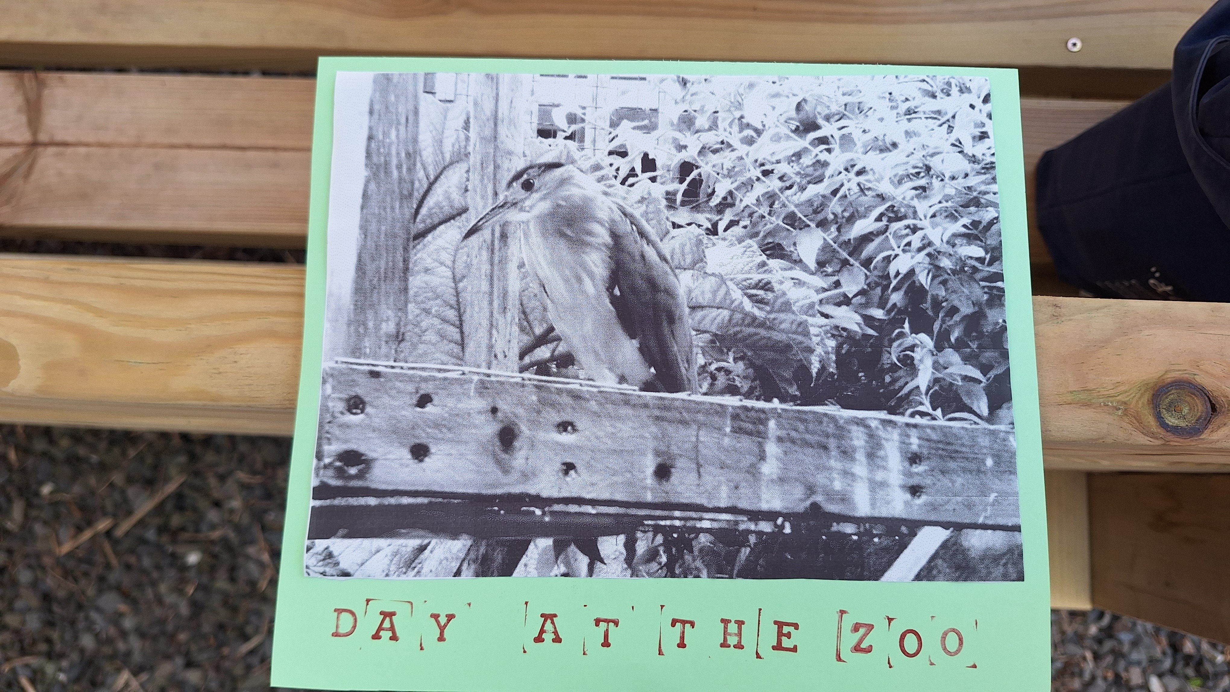 Day At The Zoo