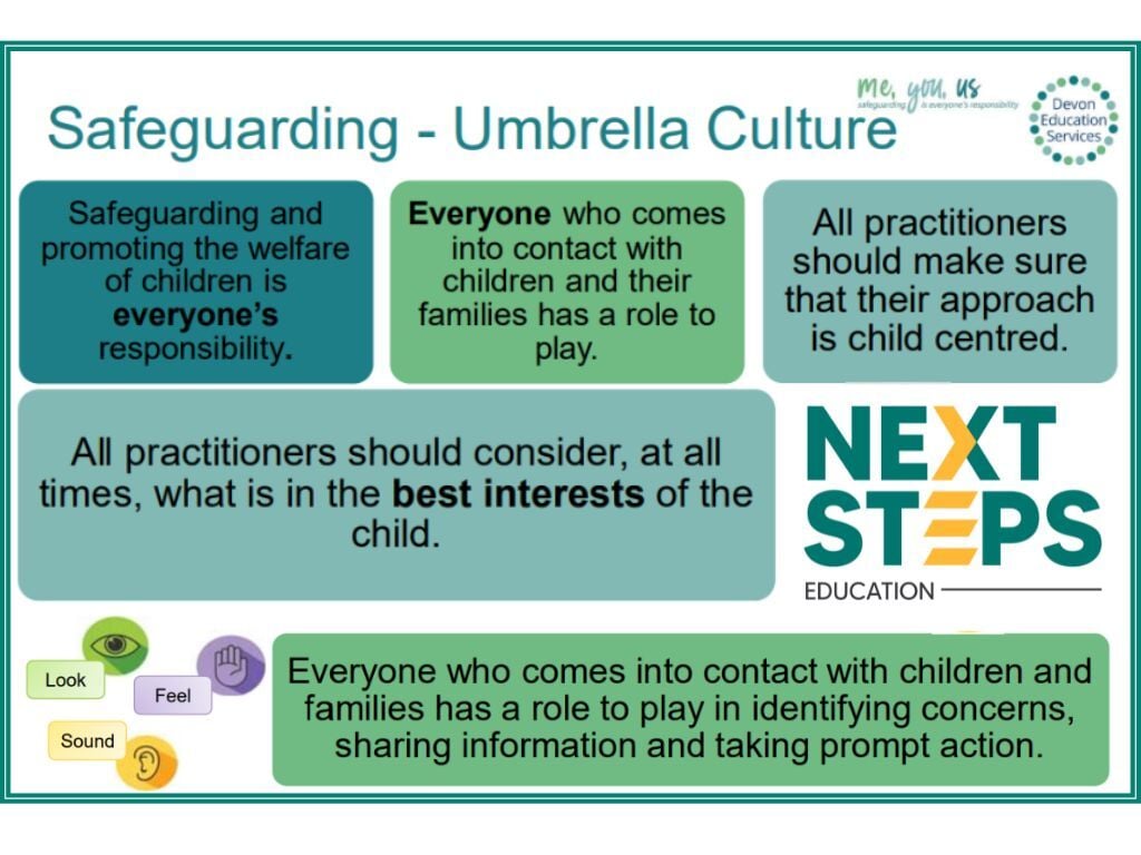 3. safeguarding umbrella culture DES (Presentation (43))