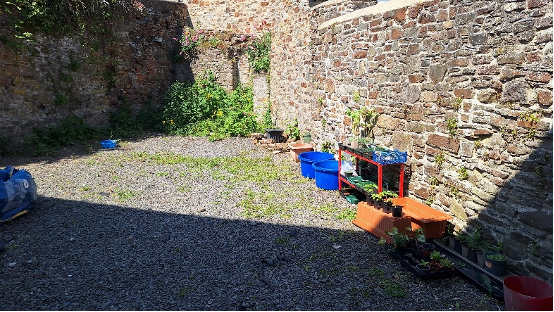 Garden 2